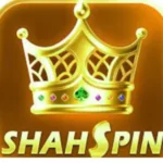 Shah Spin Game
